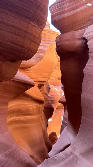 Der komplette Canyon ist ca. 1,5 km lang. Hin und wieder muss man Eisentreppen hinaufsteigen bzw. runter gehen. Manchmal wird es sehr eng, aber wir haben durchgepasst. 
Taschen und Rücksäcke wie auch Stative darf man nicht mitnehmen.