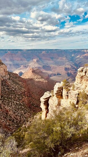 Wir gehen von unserer Lodge zum Busshuttle und fahren mit der Roten Linie in Richtung „Hermit Trailhead“  Beim „Powell Point“ steigen wir aus und laufen entlang des Rim weiter bis zum „Hopi Point“