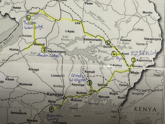 Thalia und Nicolas wollen eine 6-tägige Trekking-Tour über die Rwenzori-Berge an der Grenze zum Kongo machen. Das ist eine der härtesten Trekking-Touren der Welt, so berichten erfahrene Trekker, die schon im Himalaya und auch im Tibet unterwegs waren.
Die Schwierigkeit hier sind außer der Höhe auch das unwegsame Gelände. Es ist sumpfig und man versinkt teilweise bis zu den Knien im Schlamm.