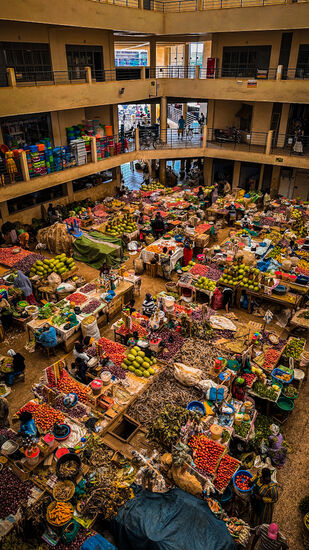 Die Markthalle - das ist eines der geretteten Fotos
