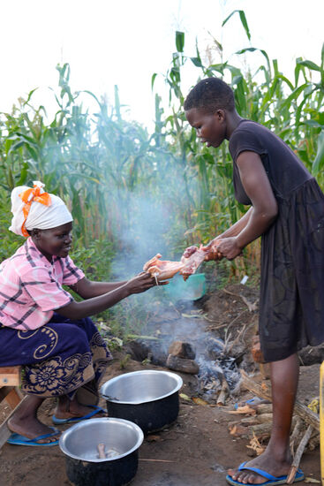 Es wird halbiert- und zerkleinert