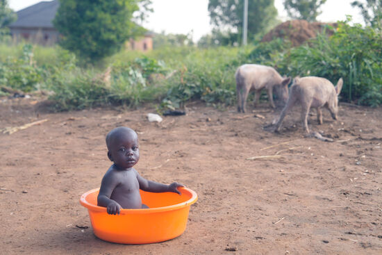 Die Schüssel dient nicht nur zum Hände waschen…