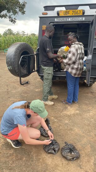 Hier packen wir vorab die Tüten mit Zucker…