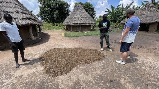 Das sind die getrockneten Flugtiere, die hier eine Delikatesse sind.