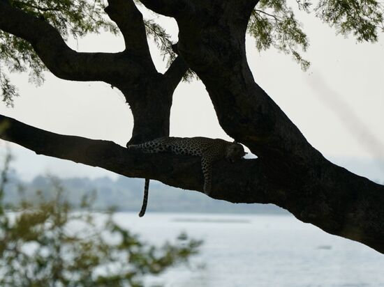 Da ist jemand ganz entspannt.