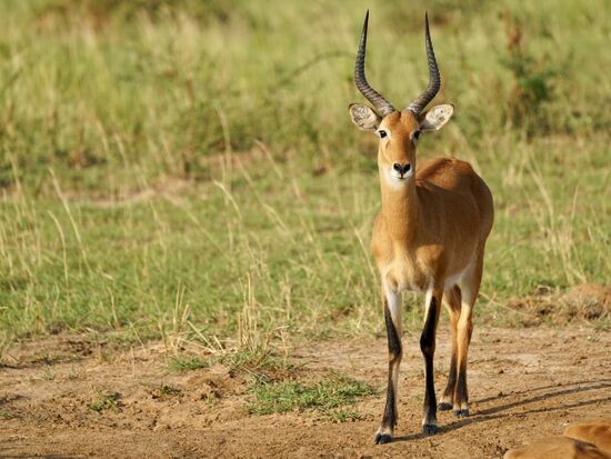 Davon gibt es hier jede Menge…