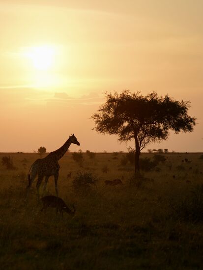 Am Ende der Tour gibt es noch einen schönen Sonnenuntergang.