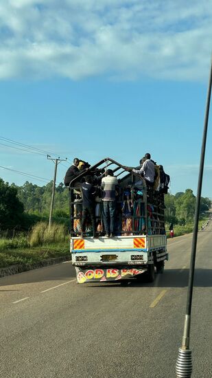Die fahren alle zum nächstgelegenen Markt.