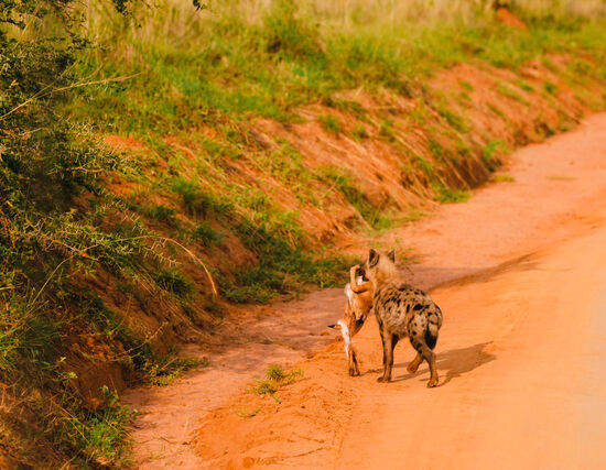 Der hat auch wieder was gefangen 