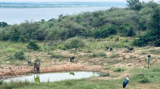 Der Blick vom Mittagstisch…