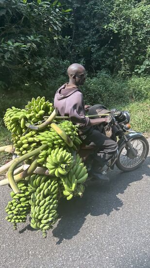 Bananentransport