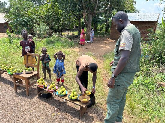 Unterwegs kaufen wir noch ein paar Mangos