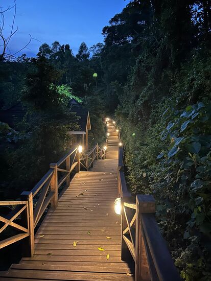 Die wunderschönen Holzhäuser/Zimmer sind über Stege zu erreichen