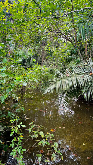 Obwohl es mal wieder anfängt zu regnen, marschieren wir tapfer weiter