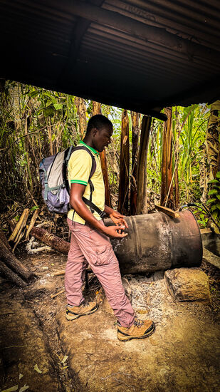 Aus Bananen wird hochprozentiger Gin  und Bier hergestellt.