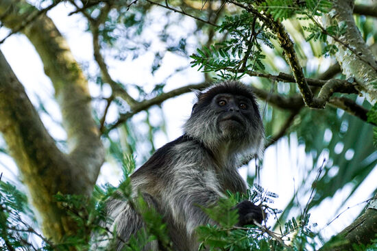 Sicherlich der Opa der Familie