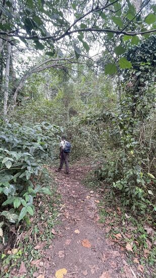 Nach dem Lunch fahren wir zum Treff für unsere „Wetland“- Wanderung
Hier treffen wir unseren Guide Peter, der uns durch die Sümpfe begleitet