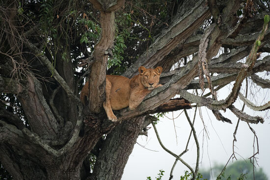 Nach einer weiteren halben Stund entdecken wir diese Dame, die auch gerade gefressen hat