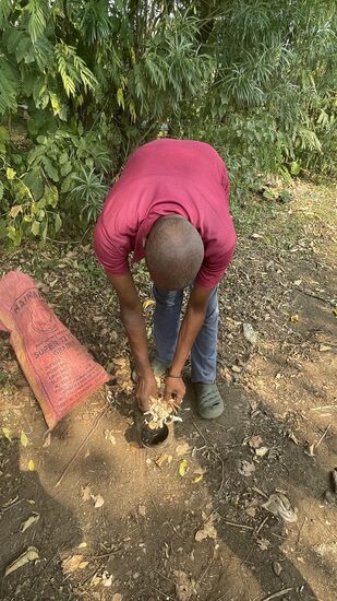 Dann zeigt er uns die Funktion der Waffe: die Blechdose wird mit Holzspänen gefüllt, angezündet und durch pumpen per Blasebalg ausgepustet