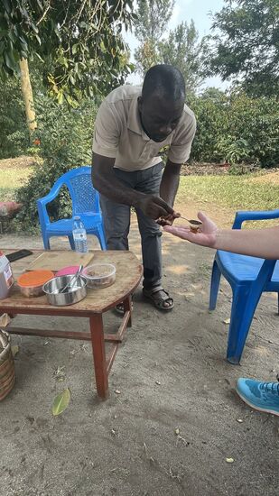 Jetzt probieren wir ein paar der köstlichen gefüllten Bienenwaben und kommen nicht umhin ein Glas des Honigs zu kaufen