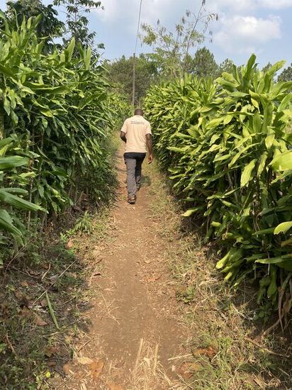 Weiter gehts zum nächsten Projekt…