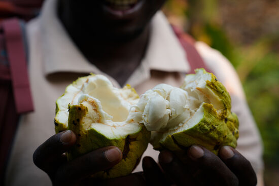 Edison schneidet uns eine auf und wir bekommen die süßen Früchte zum Kosten-das Fruchtfleisch schmeckt lecker süß