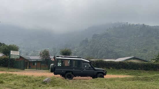 Ich stelle mir grad vor, wie Thalia und Nicolas da oben rumkraxeln