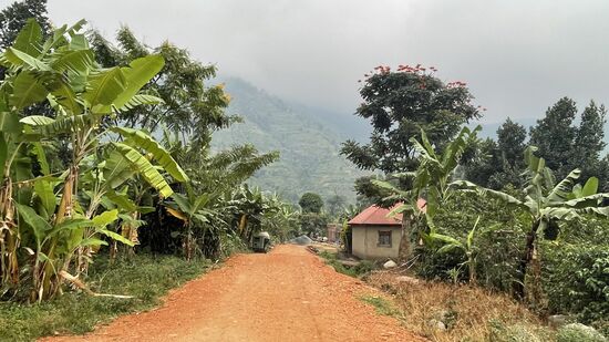 Der Ort ist trotzdem sehr schön und friedlich. Die einzigen Gäste hier sind wohl die Trekker, die hier übernachten bevor sie ins Rwnzori-Gebirge gehen