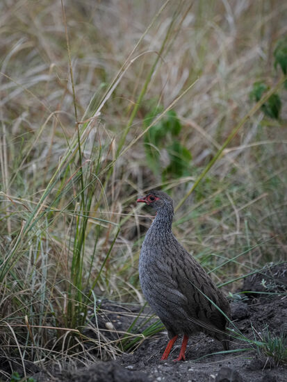 Den nehmen wir noch mit…