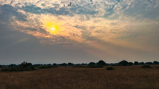 Wir erleben noch einen wunderschönen Sonnenuntergang