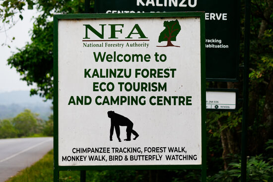 Nach ca 1 Stunde Fahrt erreichen wir den Wald und nach einem kurzen Briefing begleitet uns ein Guide und ein Ranger zu einem etwa 2 stündigen Spaziergang