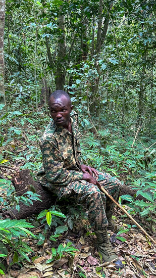 Ein Tracker sitzt bei den Schimpansen- er hat sie ausfindig gemacht und unseren Guide verständigt