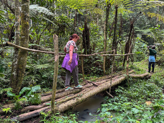 Interessante Brückenkonstruktionen….