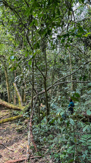 Etwas langweilig, der Spaziergang…