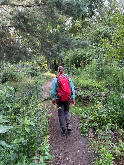 Kurzer Zwischenstopp am Berliner Ostkreuz mit Spaziergang durch etliche Gärten an den Bahnschienen, in denen Gemüse angebaut wird…
