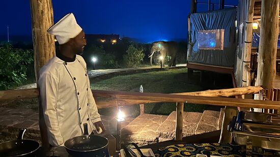 Guten morgen! Wir haben wieder Besuch von John, dem Hauselefanten—er kommt wirklich sehr nah