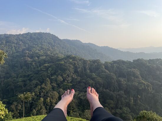 Dafür ist die Aussicht von hier auf die „Brokkolibäume“  genial!!