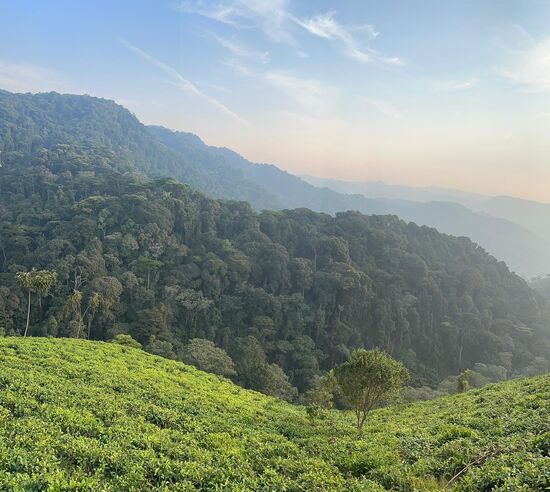 Man kann sich nicht sattsehen.