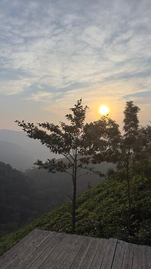 Ein Paradies für unsere Fotografen ist das hier 
