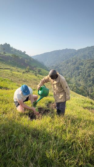 Witzig: im Ausgießer steckt ein Büschel Grünzeug damit sich der Wasserstrahl verteilt