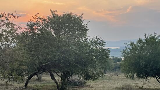 Die Lodge ist wunderschön. Sie liegt mitten im Park und wir sehen hinten viele Affen.
Sie kommen aber nicht aufs Gelände