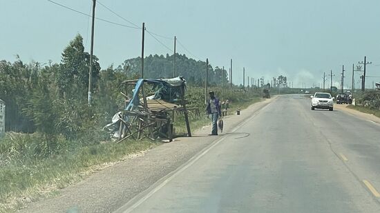 Hier kommen wir auch an vielen Straßenhändlern vorbei, die frische Fische verkaufen, daran erinnern wir uns noch gut 