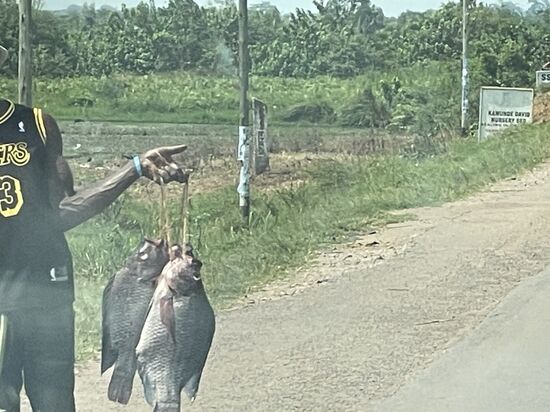Um 17 Uhr erreichen wir Entebbe--nach 7 Stunden Fahrt mit kleinen Unterbrechungen