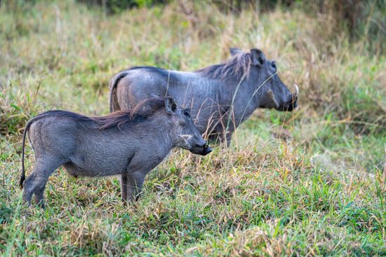 Und die gibt es natürlich auch hier