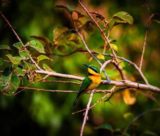 Und zum Abschluss noch dieser bunte Kamerad