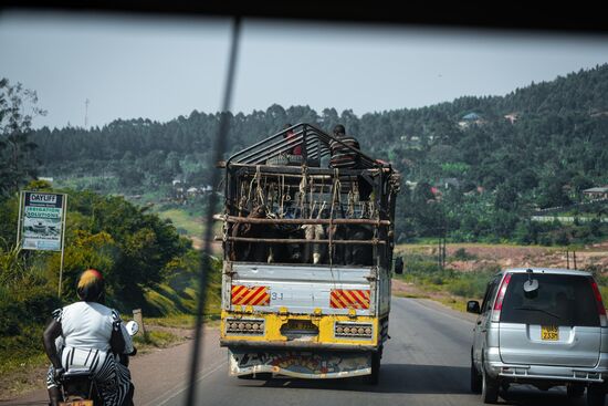 So zuckeln wir so manches Mal lange hinter den Fahrzeugen her