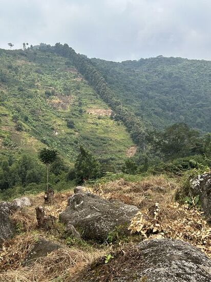 Die „Grenze“ zwischen Nationalpark und Community-Land. Betreten des NP ohne Genehmigung strengstens verboten!