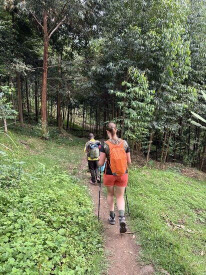 Die ersten Meter im Dschungel…