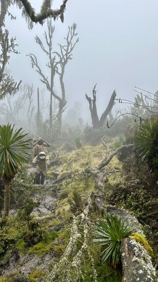 Die Porter gehen nach uns los und sind vor uns am nächsten Camp.