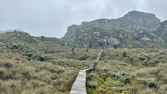 Ab und an mal ein angenehmer Weg nach oben…